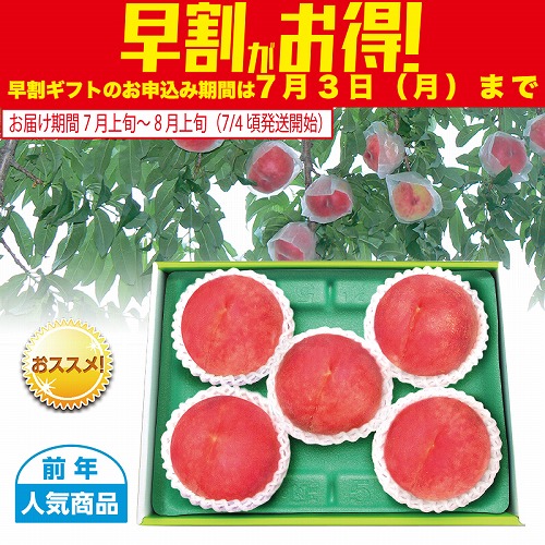 【期間限定・早割】