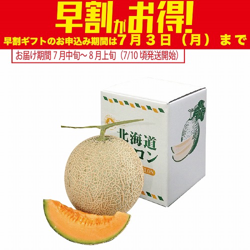 【期間限定・早割】