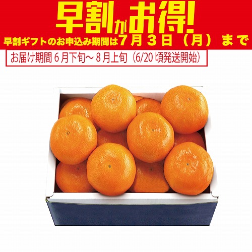 【期間限定・早割】