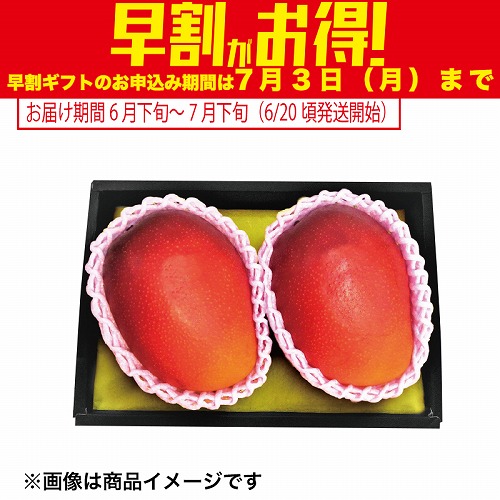 【期間限定・早割】