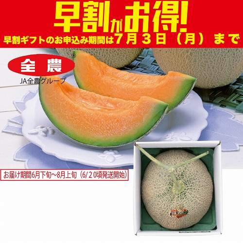 【期間限定・早割】