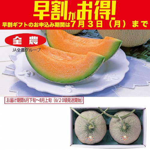 【期間限定・早割】