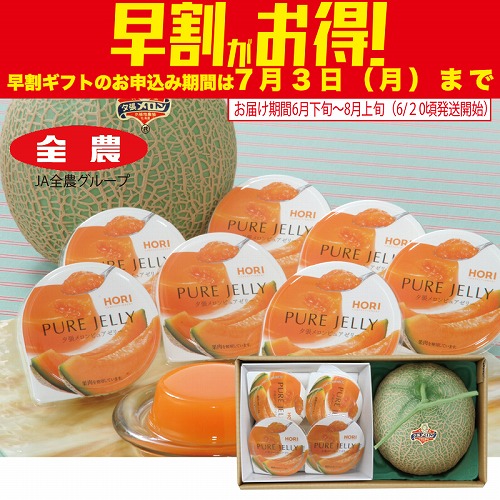 【期間限定・早割】