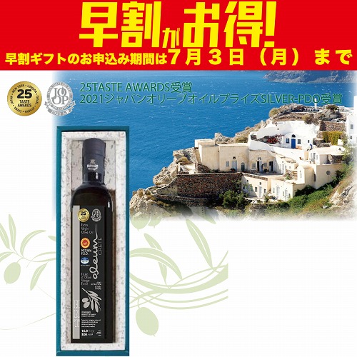 【期間限定・早割】