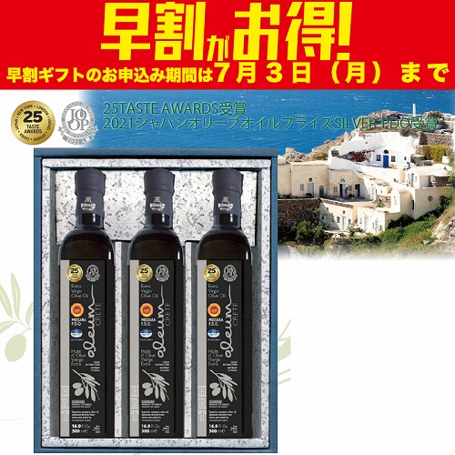 【期間限定・早割】