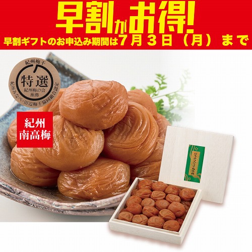 【期間限定・早割】