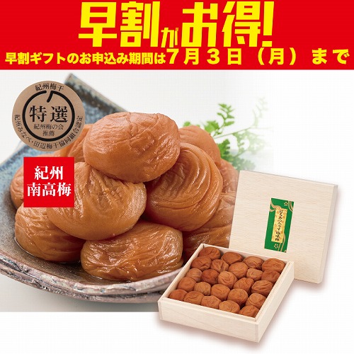 【期間限定・早割】