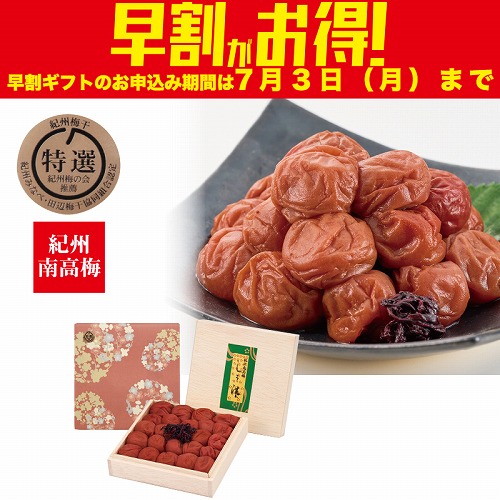 【期間限定・早割】