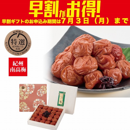 【期間限定・早割】