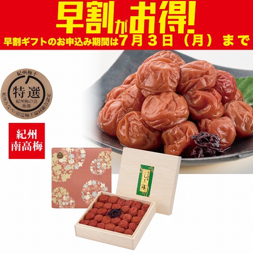 【期間限定・早割】