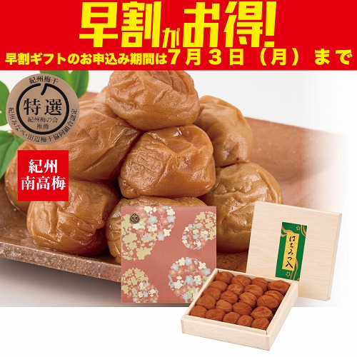 【期間限定・早割】