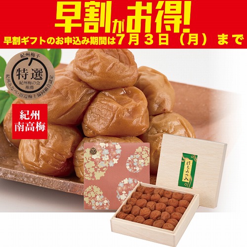 【期間限定・早割】