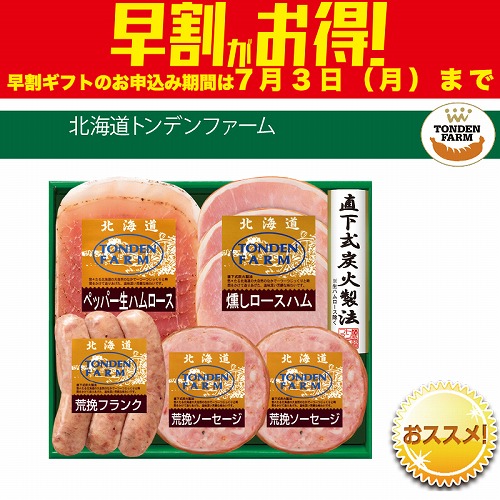 【期間限定・早割】