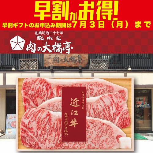 【期間限定・早割】