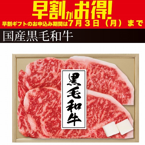 【期間限定・早割】