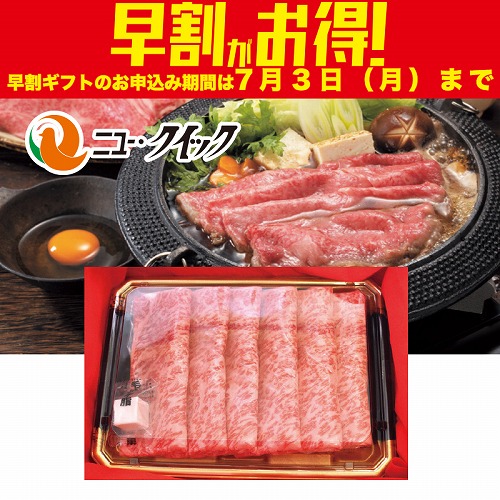 【期間限定・早割】