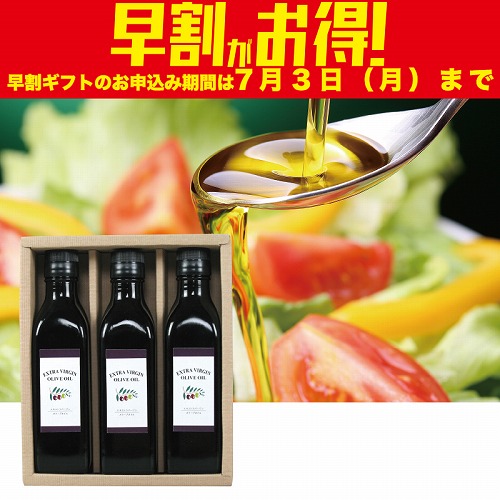 【期間限定・早割】