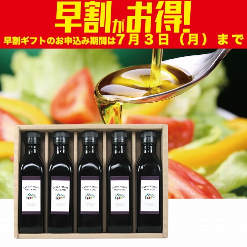 【期間限定・早割】