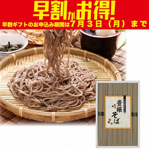 【期間限定・早割】