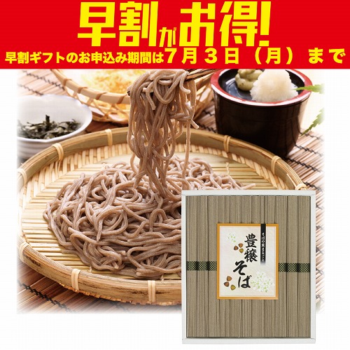 【期間限定・早割】