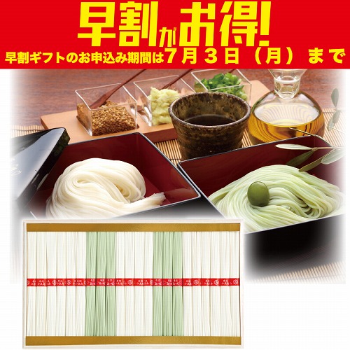 【期間限定・早割】