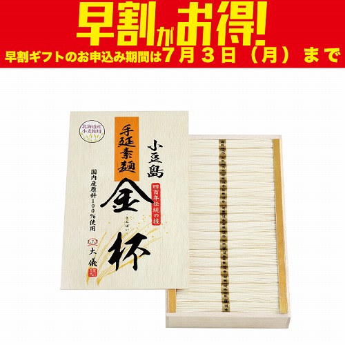 【期間限定・早割】