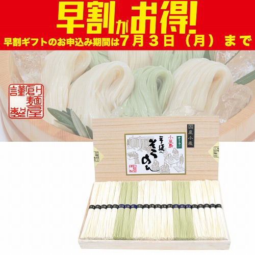 【期間限定・早割】