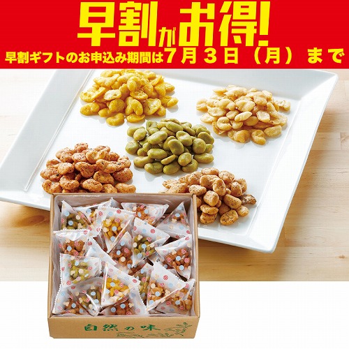 【期間限定・早割】