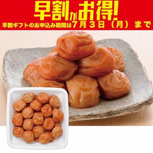 【期間限定・早割】