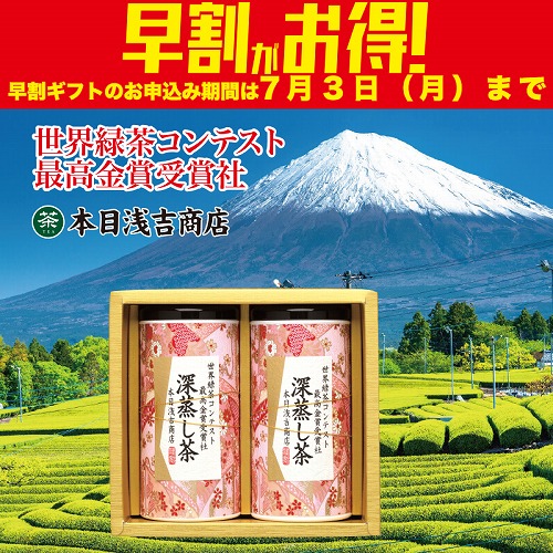 【期間限定・早割】