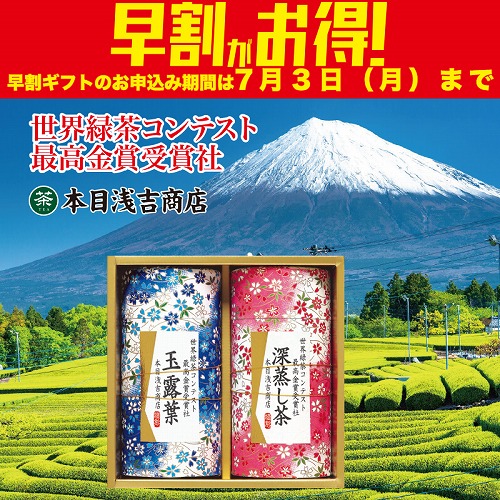 【期間限定・早割】