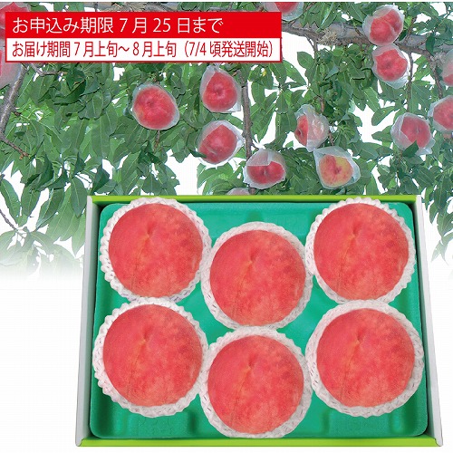 山梨県又は福島県産