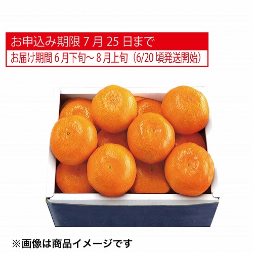 大分県又は佐賀県産