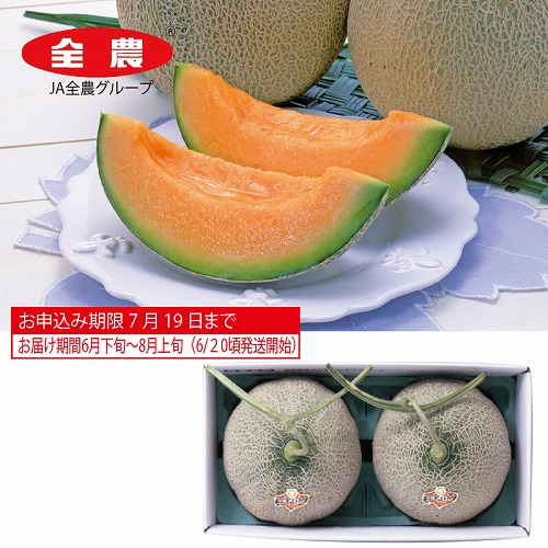 夕張メロン１．５ｋｇ×２