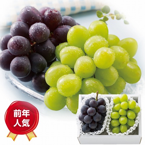 シャインマスカット＆巨峰詰合せ
