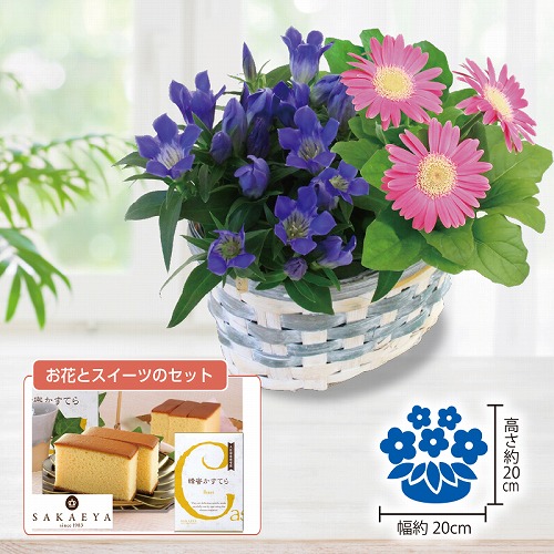 リンドウ寄せかごと蜂蜜カステラ