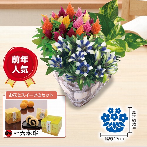 秋の寄せかごとひときれ一六タルト