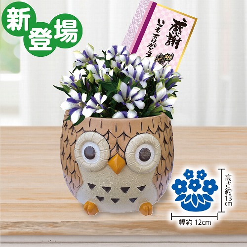 リンドウ（白寿）とふくろう（レジン）