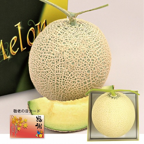 マスクメロン