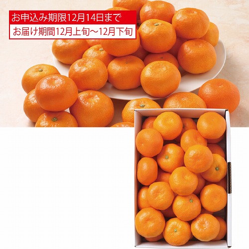 サン・フルーツ