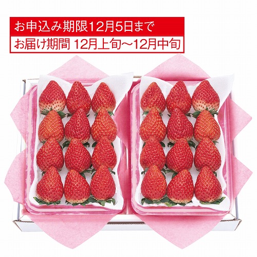 栃木ＪＡかみつがの苺