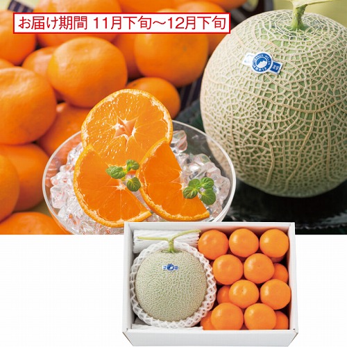 温室マスクメロン＆みかん詰合せ
