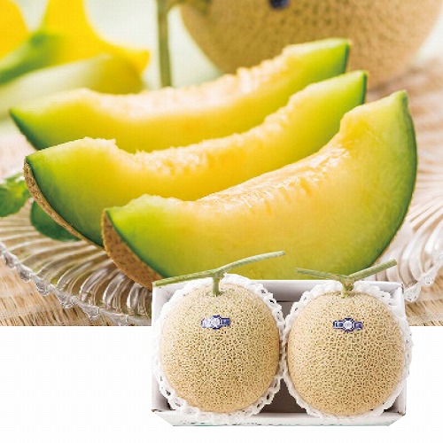 冬の温室マスクメロン