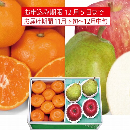 冬のフルーツ旬果詰合せ