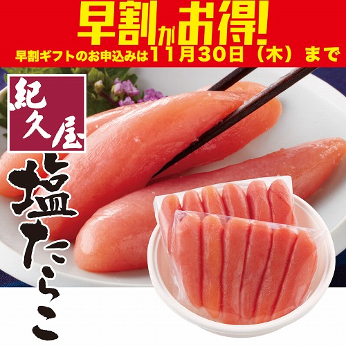 【期間限定・早割】