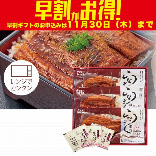 【期間限定・早割】