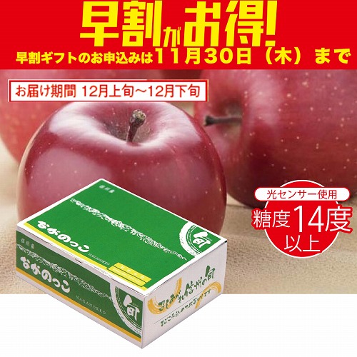 【期間限定・早割】