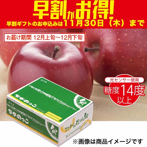 【期間限定・早割】