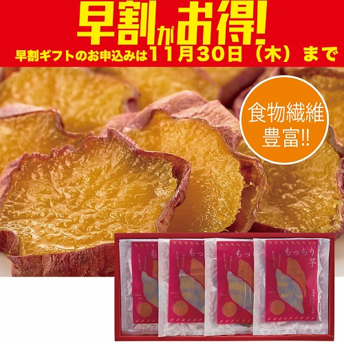 【期間限定・早割】