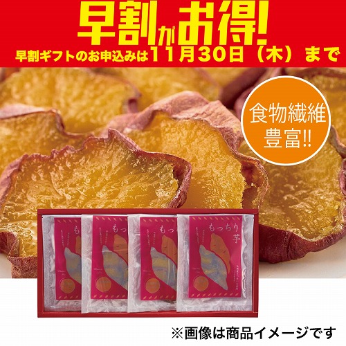 【期間限定・早割】